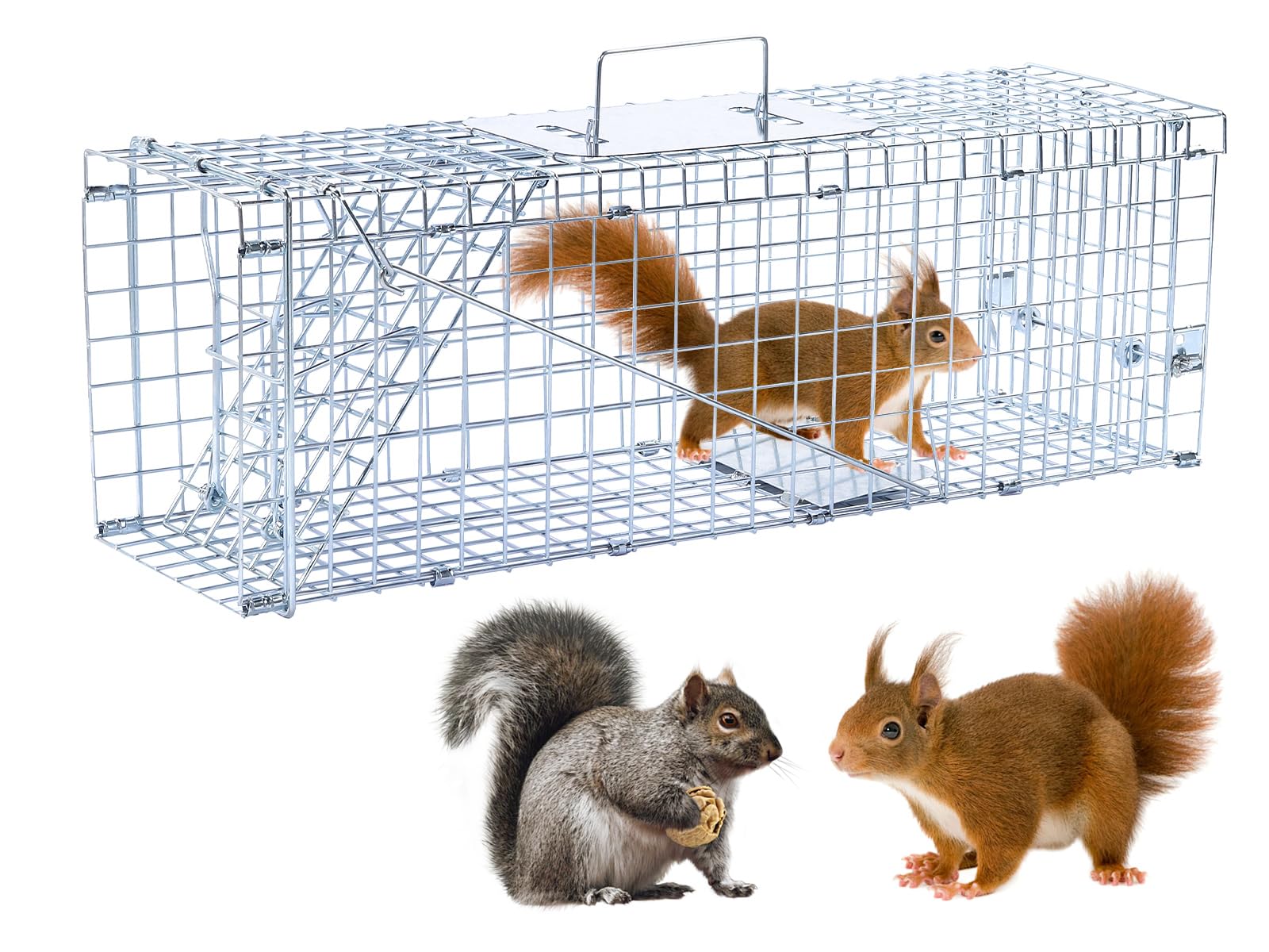 Photo 1 of 24” Humane Animal Trap Live Animal Trap Cage for Squirrels Small Stray Cats Rabbits Groundhogs Moles Gophers and Chipmunks up to 5.5 lbs Galvanized Rustproof Live Animal Cage Trap
