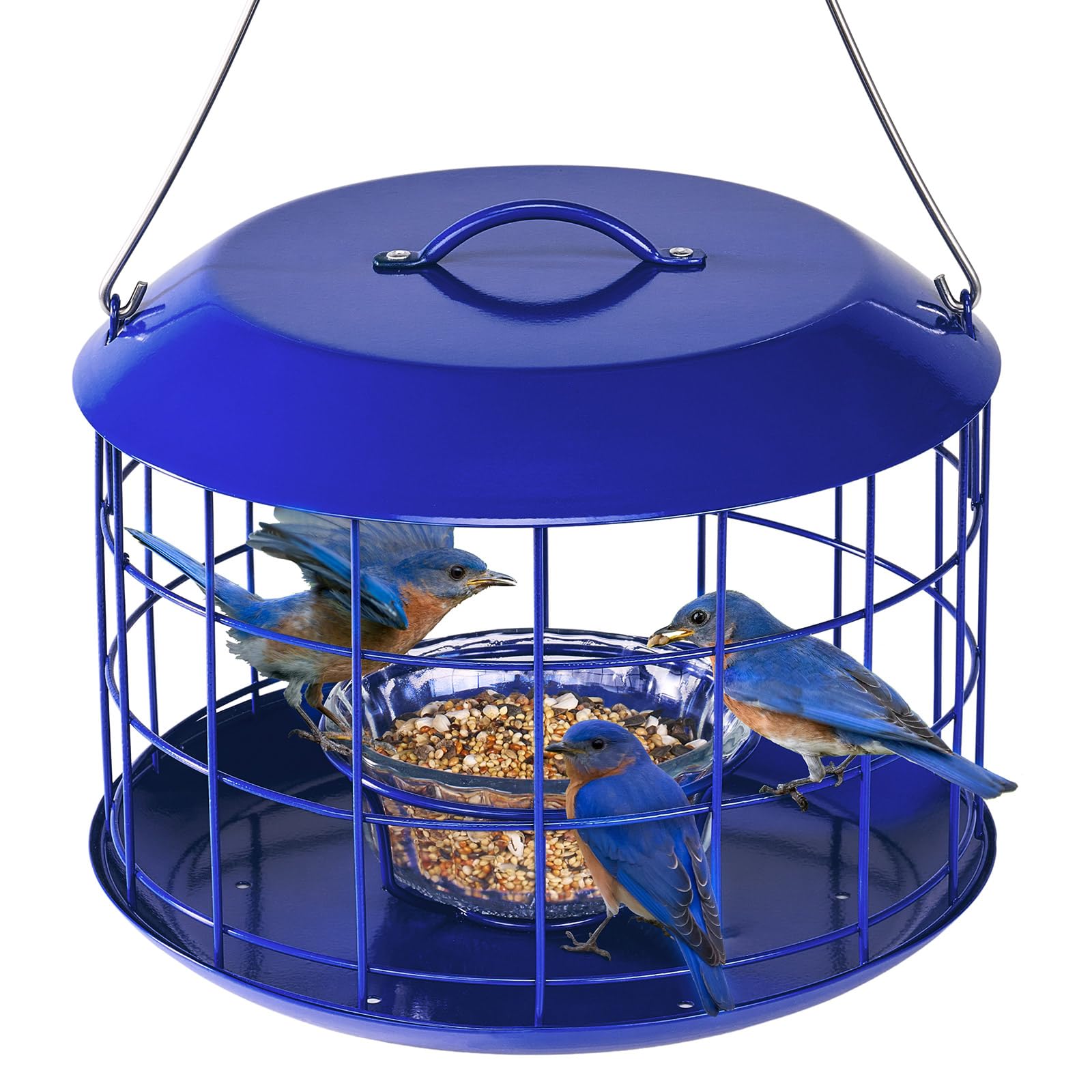 Kingsyard Bluebird Feeders for Outdoors Hanging, All Metal, Cage Mealworm Bird Feeder with Tray, Squirrel Proof & Weatherproof, Easy to Refill & Clean (Blue)