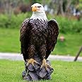 MIRAF Garden and Yard Statue-Flight of Freedom American Bald Eagle Hanging Bird Statue Hand-Painted Eagle Decor-Bald Eagle Statue, Majestic America Indoor/Outdoor USA Decor for Office, Patio