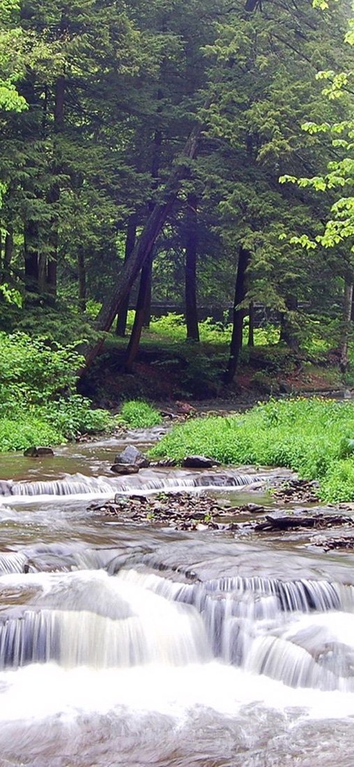 PeelitStickit, Beautiful Nature Wall Murals, ID-1184, vinyl