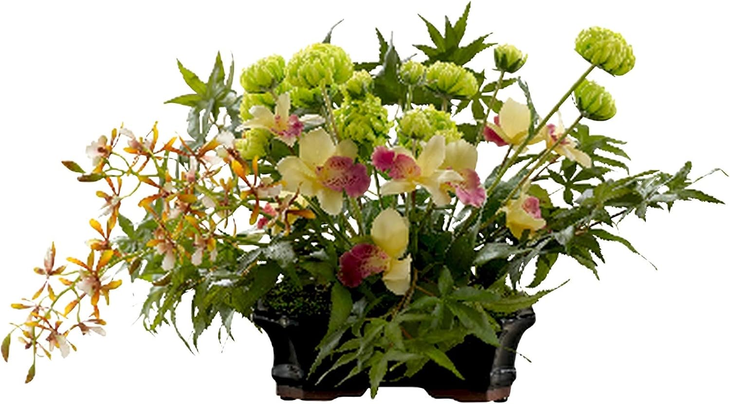 BLOOM Artificial Ikebana Orchid Arrangement Silk Orchid Flowers, Faux Flowers That Look Real