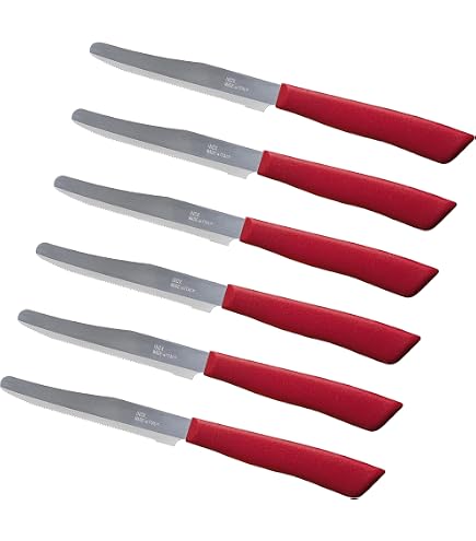 s.r.l.: SWITZNER SET COLTELLI RIVESTIMENTO ANTIADERENTE IN CERAMICA