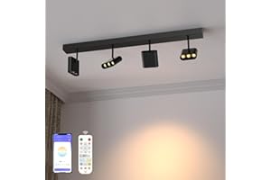 HENGSENSE 4 Light Heads Track Lighting Kit, Modern LED Track Lighting Fixtures Ceiling, Rotatable Light Heads with CCT & Brightness Dimming, Dimmable Ceiling Spot Lights for Kitchen, Living Room with Remote
