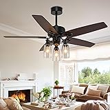 Morpholife Farmhouse Ceiling Fan with Lights Remote