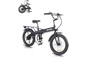 GELEISEN Folding Electric Bike for Adults, 20"×3.0 Fat Tire Electric Bicycle, 374.4Wh Battery Ebike, 20MPH Electric Cargo Bike with LCD Color Display & 6 Speed Gears (Fits for 5'0"+)