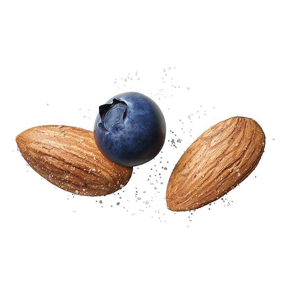 BLUE DIAMOND ALMONDS, PREMIUM SEA SALT AND BLUEBERRIES SNACK NUTS PERFECT SNACK MIX WITH PROTEIN AND FIBER, 7 OUNCE (PACK OF 1)