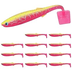 TRUSCEND Hand Made Soft Fishing Lures 12PCS, Paddle
