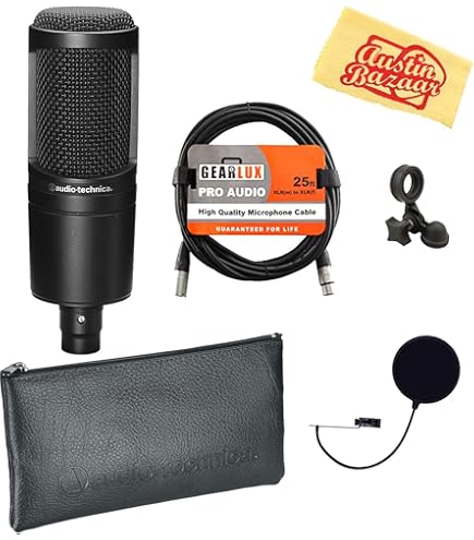 Amazon.com: Audio Technica AT4040 - Micrófono de condensador