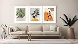 Scholar Tree White Wooden Frame A2 Set of 3 with Mat for A3 Mount Wall view 2