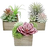 Succulent Plants Artificial, 3 Pack Small Fake Plants in Wood Pot for Home Decor, Farmhouse Artificial Plants Indoor for Living Room Bathroom Bedroom Office Kitchen Desk Wedding Coffee Table Decor