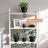 T4U 10cm Plastic Plant Pots 6-Pack with Saucers—Drainage Hole Indoor Outdoor view 5