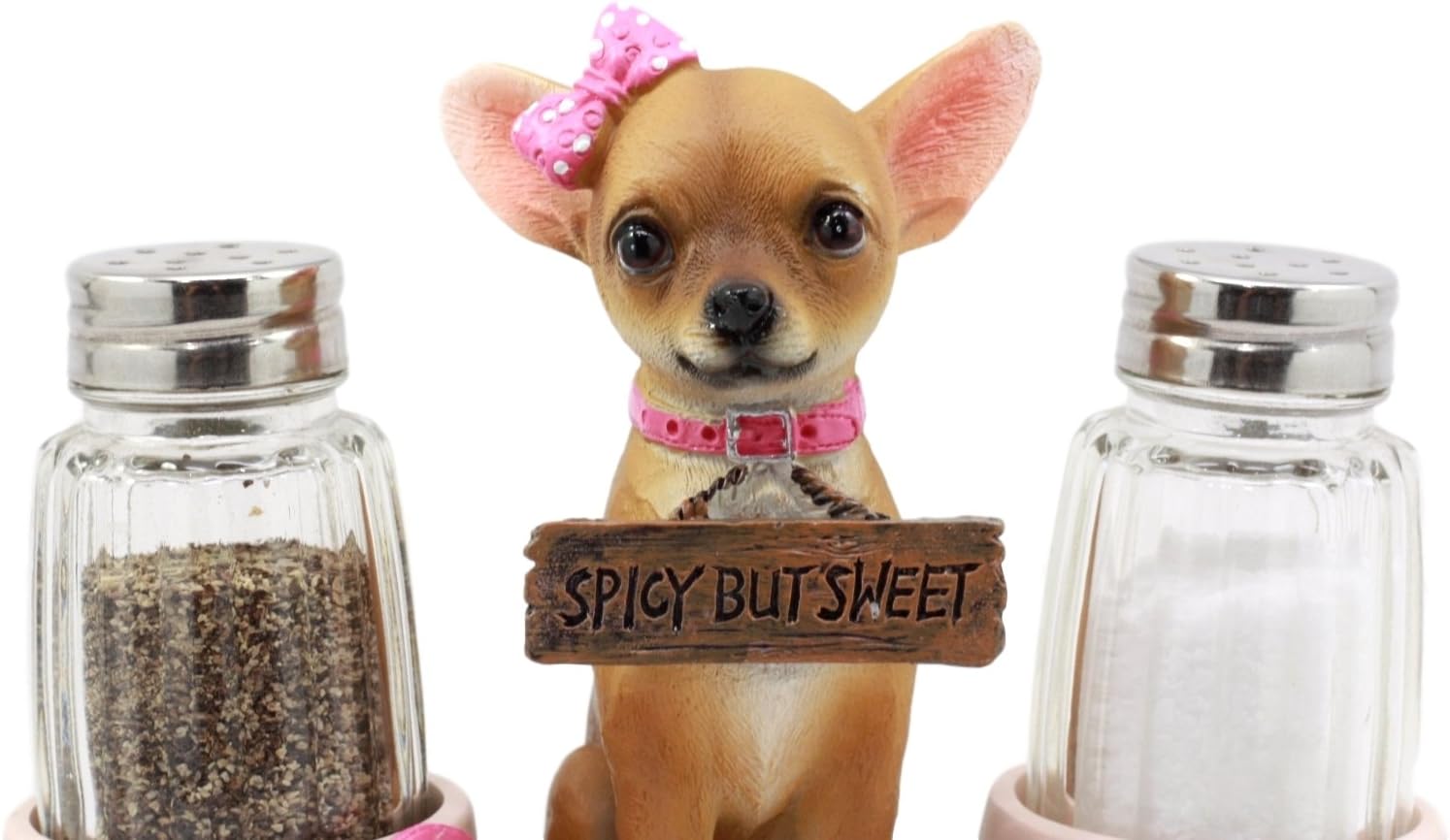 girl chihuahua