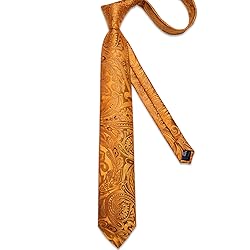 DiBanGu Silk Paisley Ties for Men Woven Necktie and