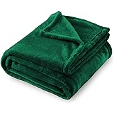 SOCHOW Flannel Fleece Blanket Queen Size, All Season Lightweight Super Soft Cozy Blanket for Bed or Couch, Green 90inch X90''