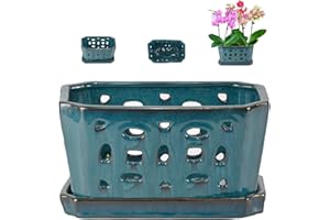 W&W Orchid Pot with Holes and Saucer for Repotting, Teal, 9.7 Inches