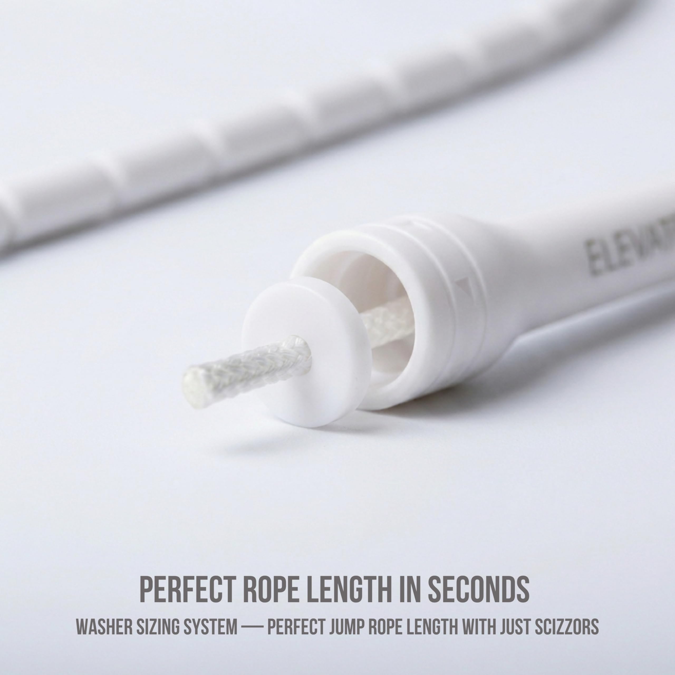 View 6