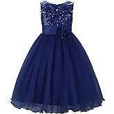 JerrisApparel Little Girls' Sequin Mesh Flower Ball Gown Party Dress Tulle Prom
