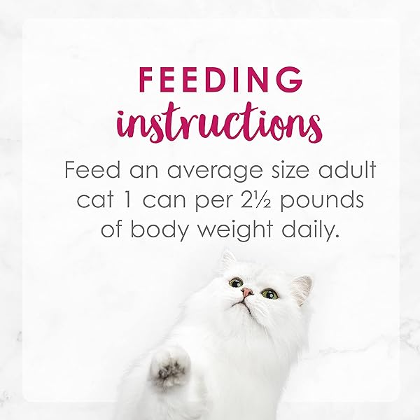 FANCY FEAST PURINA GRILLED GRAVY WET CAT FOOD, DELIGHTS GRILLED CHICKEN & CHEDDAR CHEESE FEAST – (24) 3 OZ. CANS