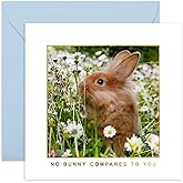 CENTRAL 23 Funny Birthday Card For Boyfriend - No Bunny Compares To You - Girlfriend Anniversary Card - Gifts For Wife Husband Best Friends - Comes With Cute Stickers