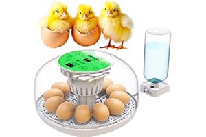 Okkobi M12 Egg Incubator with Automatic Turner and Humidity Control - 12/24 Eggs, 360° View, Easy to Use and Clean - Incubato