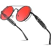 FEISEDY Aviator Sunglasses for Men Women, Retro Steampunk Gothic Round Metal Frame Hippie Glasses B2351