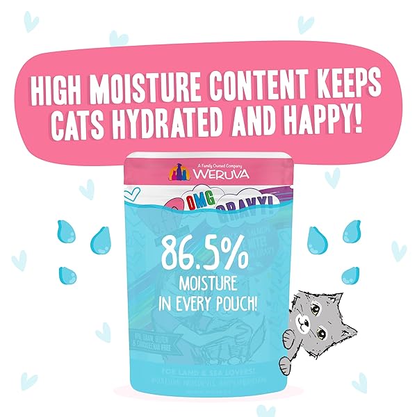 WERUVA B.F.F. OMG – BEST FELINE FRIEND OH MY GRAVY!, DATE NITE! WITH DUCK & SALMON IN GRAVY CAT FOOD, 2.8OZ POUCH (PACK OF 12)