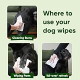 Beco Dog Wipes 1 Pack 80 Unscented Bamboo Plant Based Grooming Wipes view 7