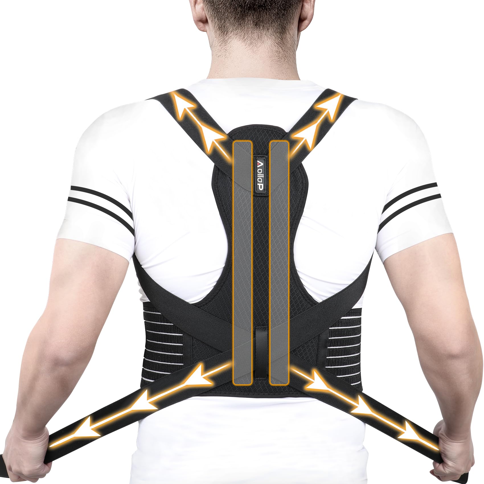 Aollop Posture Corrector Men and Women - Back Brace Back Support Belt with Breathable Adjustable Elastic Bands Back Straightener Improve Lumbar Support Belt Lower Back Pain Relief (M, Waist 35'- 47')