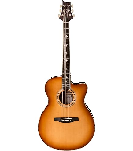Amazon.com: PRS Paul Reed Smith 6 String SE Parlor P20 Acoustic
