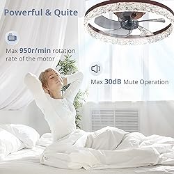 LEDIARY 20" Modern Ceiling Fans with Lights and
