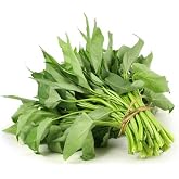 Dichmag 1000+ Kong Xin CAI Seeds for Yard &amp; Garden - Non-GMO Rau Muong Green Leaf Vegetable Seeds for Planting - 95% Germination Rate Choy Ong Seeds Produced in The US, 1000 seeds