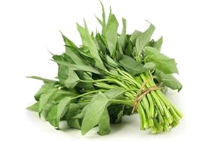 Dichmag 1000+ Kong Xin CAI Seeds for Yard & Garden - Non-GMO Rau Muong Green Leaf Vegetable Seeds for Planting - 95% Germination Rate Choy Ong Seeds Produced in The US, 1000 seeds