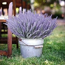 CATTREE Artificial Lavender Flowers, 6 Pack Fake