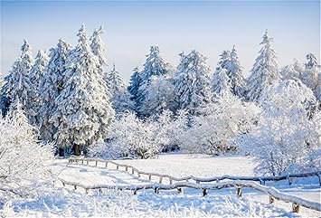 Immagini Innevate Natalizie.Mmptn 6x4ft Alberi Foresta Innevata Sfondo Innevato Sfondo Fotografia Paesaggio Natalizio Albero Pino Bosco Abete Campo Neve In Montagna Recinto Studio Puntelli Vacanze Tour Capodanno Vinile Banner Amazon It Elettronica