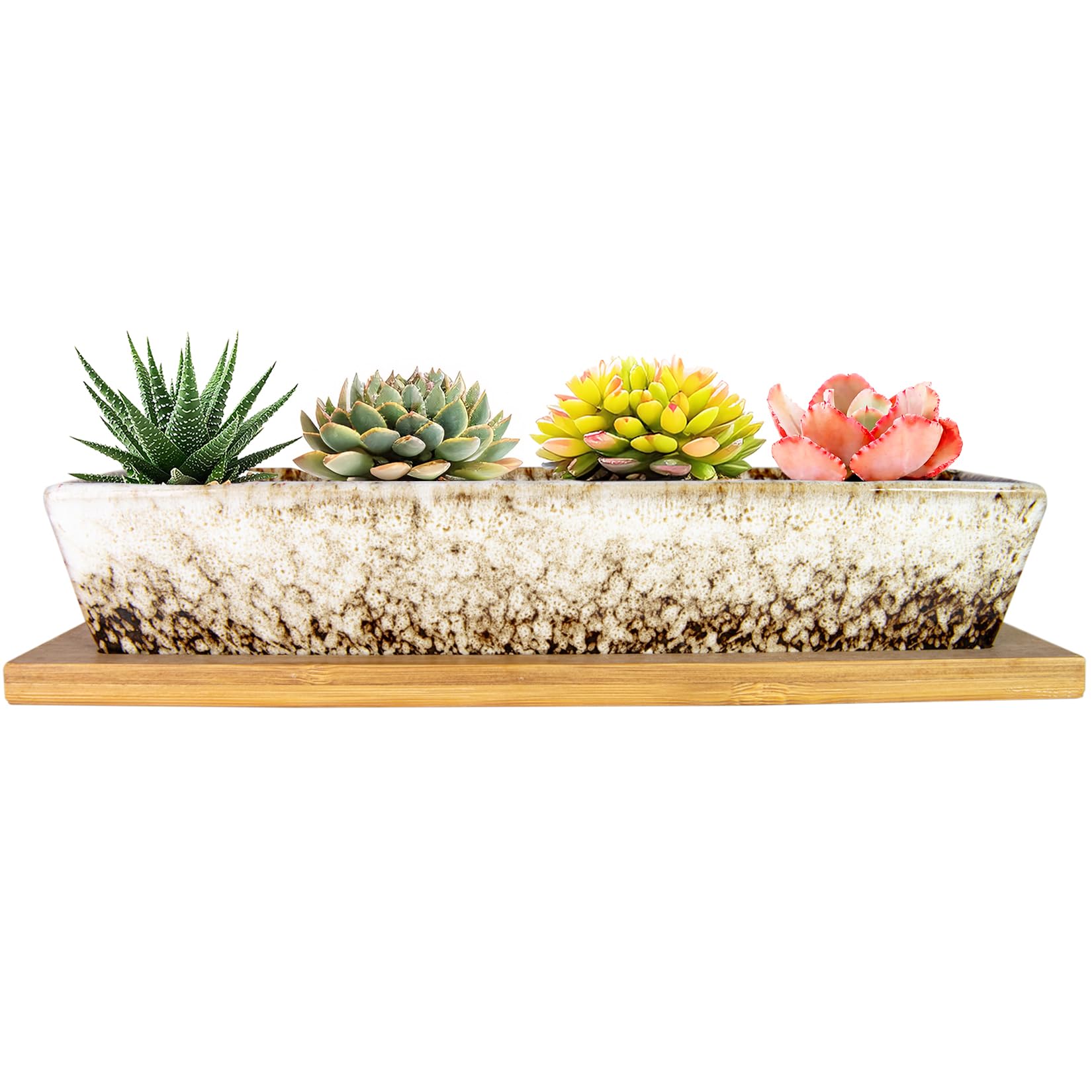 ARTKETTY 25cm Ceramic Succulent Plant Pots, Modern Long Rectangle Flower Plant Containers with Tray, Shallow Cactus Bonsai Window Box with Drainage for Indoor/Outdoor Home Decor(White)
