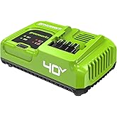 Greenworks 40V 5A Rapid Charger,for All Greenworks 40V Battery