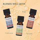 Tisserand Orange Organic Essential Oil 9ml - 100% Pure & Vegan view 5
