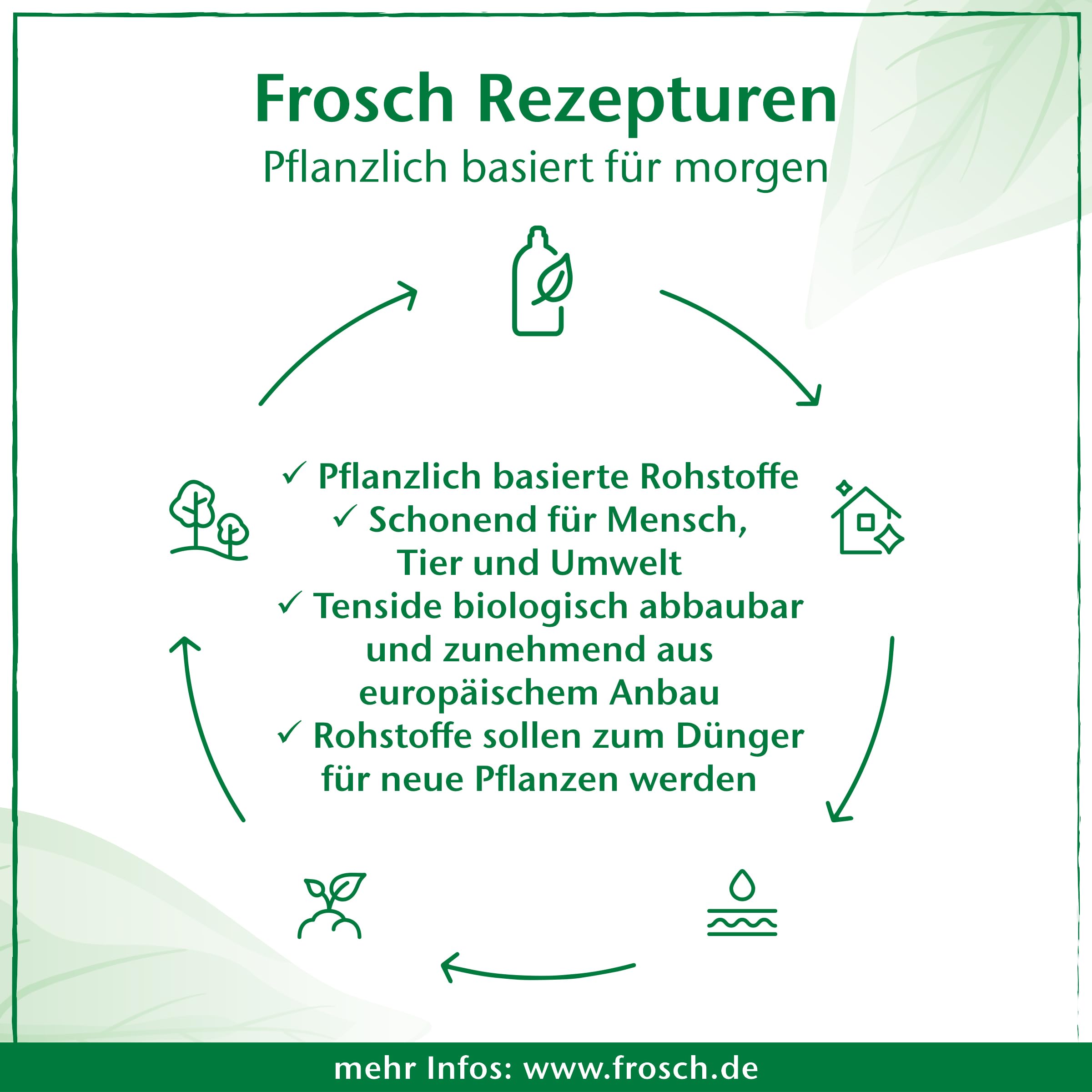 Frosch Limone Spülmittel, Handgeschirrspülmittel, stark gegen Fett, 750 ml 3