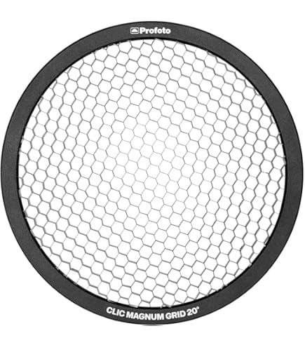 Amazon.com : Profoto 100785 Zoom Reflector 2 (Silver
