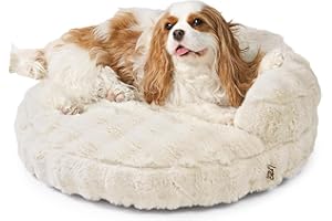 EHEYCIGA Soft Cat Couch Bed for Indoor Cats, Fluffy Small Dog Bed with Removable Washable Cover, Bolster Pet Sofa, Waterproof and Non-Slip, 23" x 23"x 7", Cream
