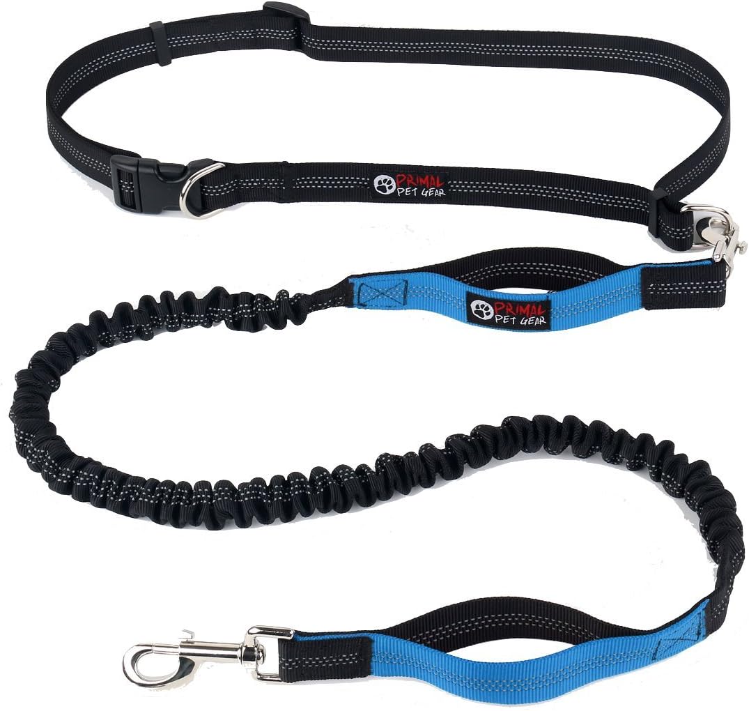 Primal Pet Gear Hands Free Dog Leash (Blue-Black)