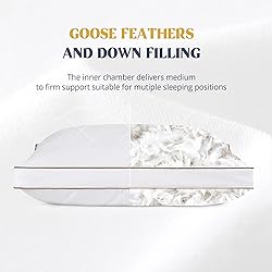 puredown® Goose Feathers and Down Pillow for