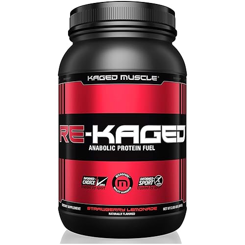 Best Bcaa Powders 10Reviewz