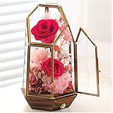 Valentines Day Flowers Gifts for Her,Forever Real Preserved Roses in Glass Dome,Valentines Roses Gifts for Wife Women Best Friend Girlfriend/Pink Rose