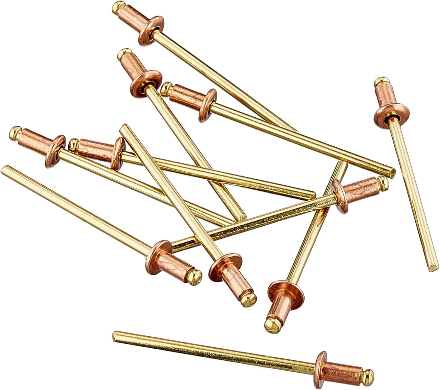 Connex COXT197306 Copper/Bronze Blind Rivets, Brown/Gold, 3.2 x 6 mm, Set of 50 Piece