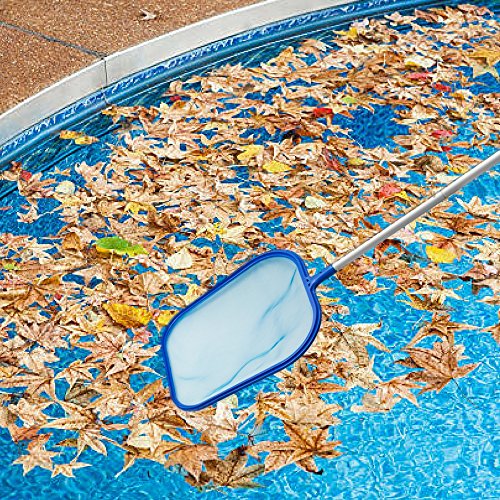 2 Aquatix+Pro+Included+Inground+Swimming