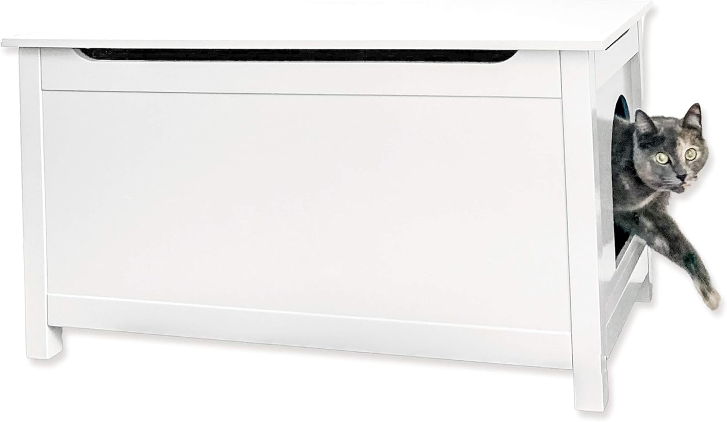 Parker Designer Catbox Litter Box Enclosure In White Amazon Ca Pet Supplies