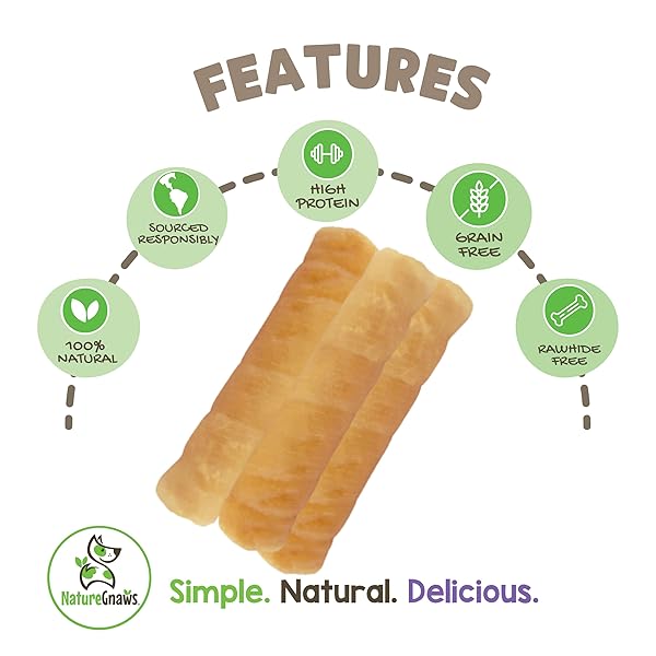 NATURE GNAWS PORK SKIN CHEWS FOR DOGS – PREMIUM NATURAL TASTY JERKY TREATS – LONG LASTING DOG CHEW BONES – RAWHIDE FREE 6 COUNT (PACK OF 1)