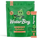 Waterboy Workout Hydration | 2,960mg Sugar Free Electrolyte Powder Packets | L-Glutamine + Vitamins | No Sugar, All Natural, Gluten Free | 15 Drink Stick Mixes (Fruit Punch)