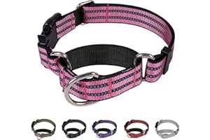 Hikiko Martingale Dog Collars Reflective Nylon Dog Collar with Quick Release Buckle Adjustable Training No Slip Dog Collar (Medium, Pink)